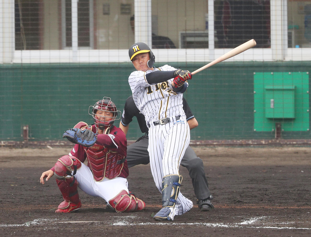 練習試合　阪神対楽天　8回裏阪神2死、左越え本塁打を放つ陽川（撮影・前田充）