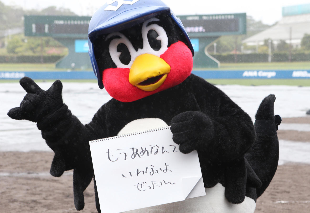 日本ハムとの練習試合が雨天中止となり、「もう　あめなんて　いわないよ　ぜったい～」とコメントするつば九郎（撮影・狩俣裕三）