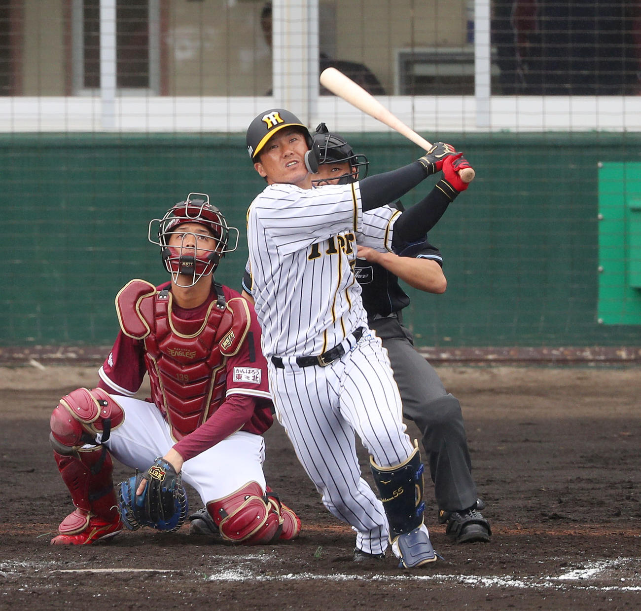 練習試合　阪神対楽天　8回裏阪神2死、左越え本塁打を放つ陽川（撮影・前田充）