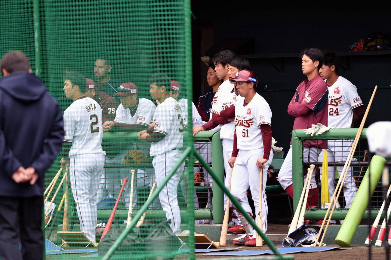 打球が当たり救急車で搬送される戸村打撃投手を心配そうに見つめる楽天ナイン（撮影・滝沢徹郎）