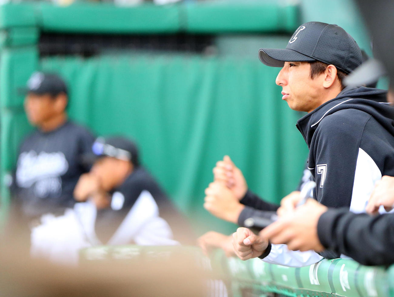 巨人対ロッテ　試合中、ベンチから戦況を見つめるロッテ福田秀（撮影・垰建太）