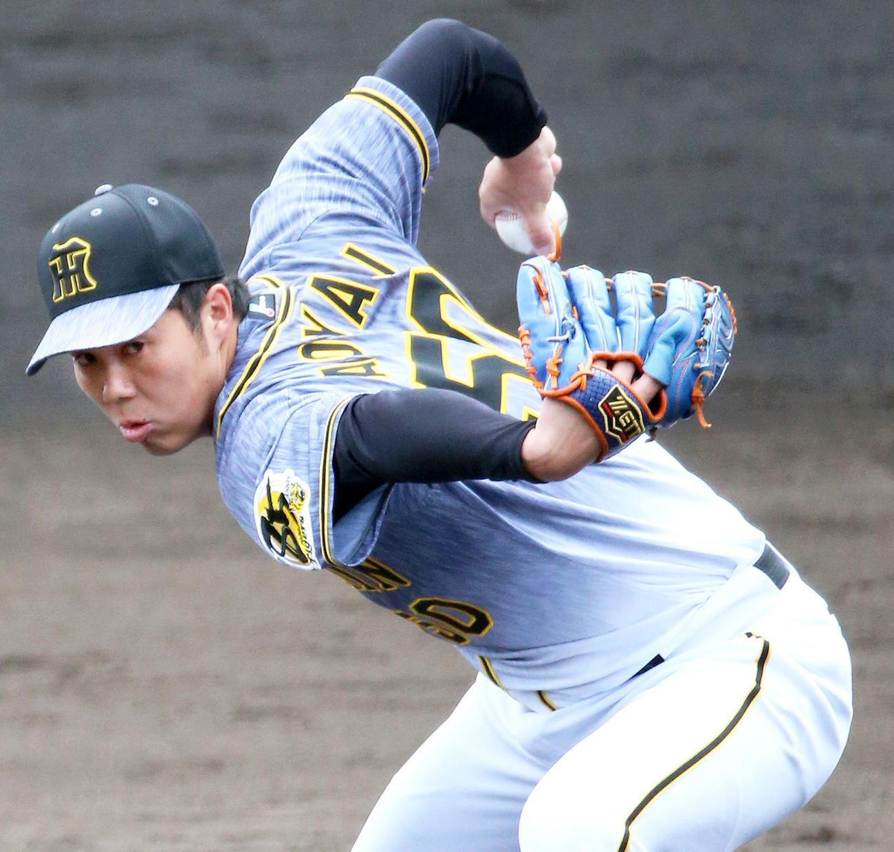 紅白戦　紅組先発の青柳（撮影・上山淳一）