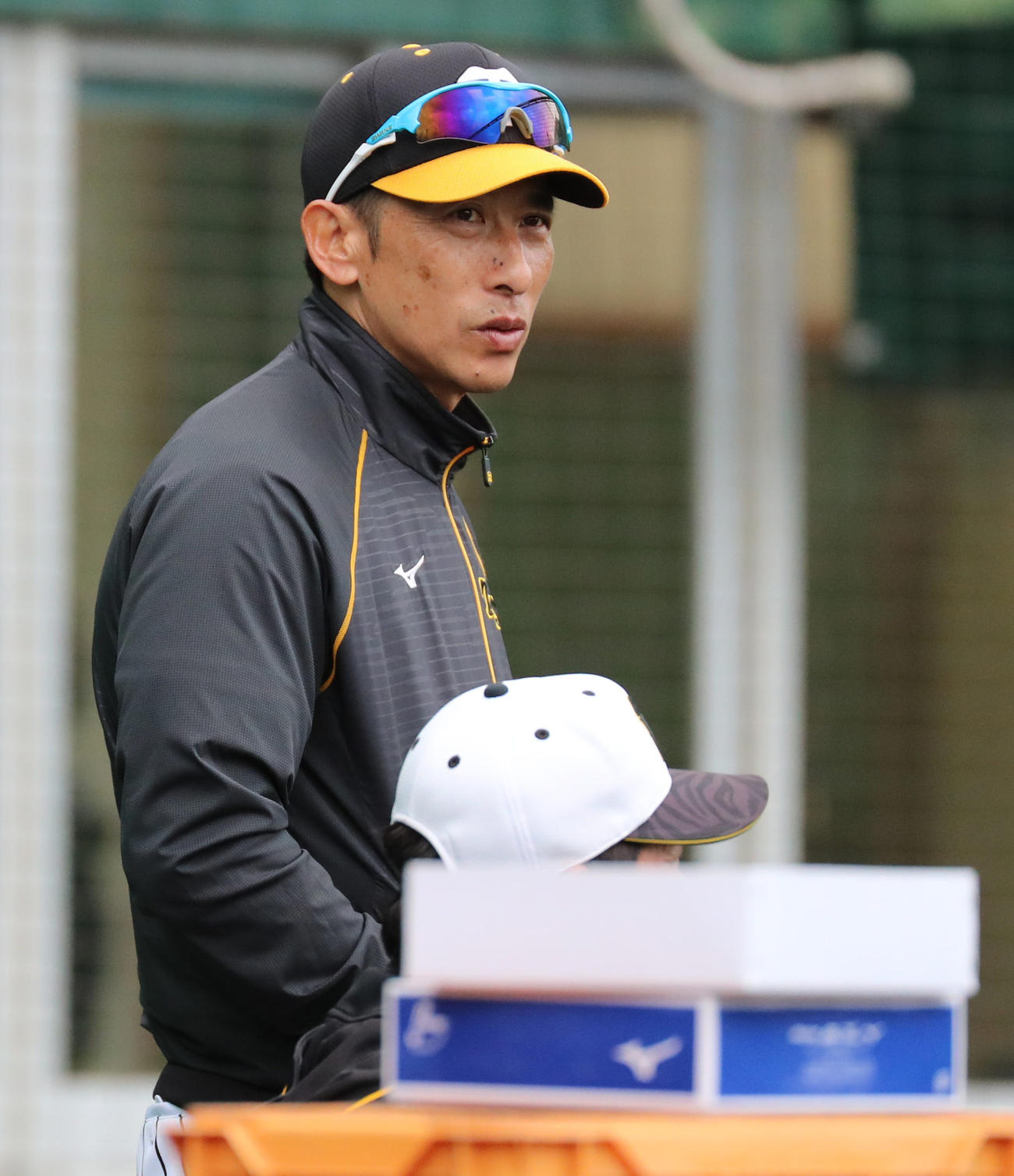 ネット裏から紅白戦をみる矢野耀大監督（撮影・清水貴仁）
