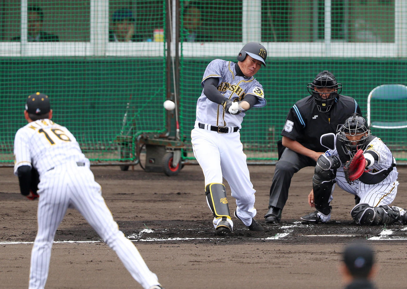 紅白戦　1回表紅組1死、右前打を放つ福留。投手西勇（撮影・前田充）