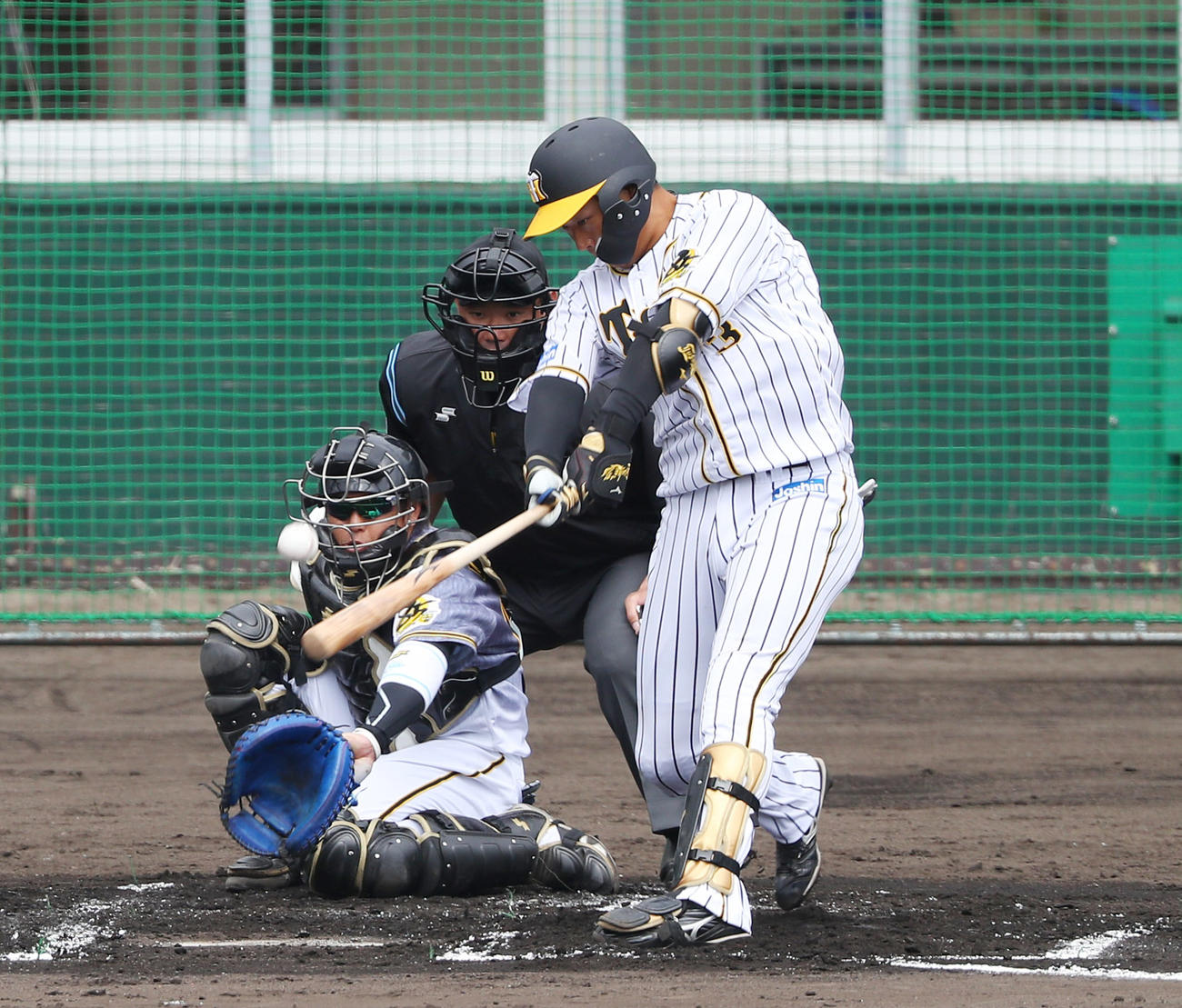 紅白戦　1回裏白組2死三塁、中前適時打を放つ大山（撮影・前田充）