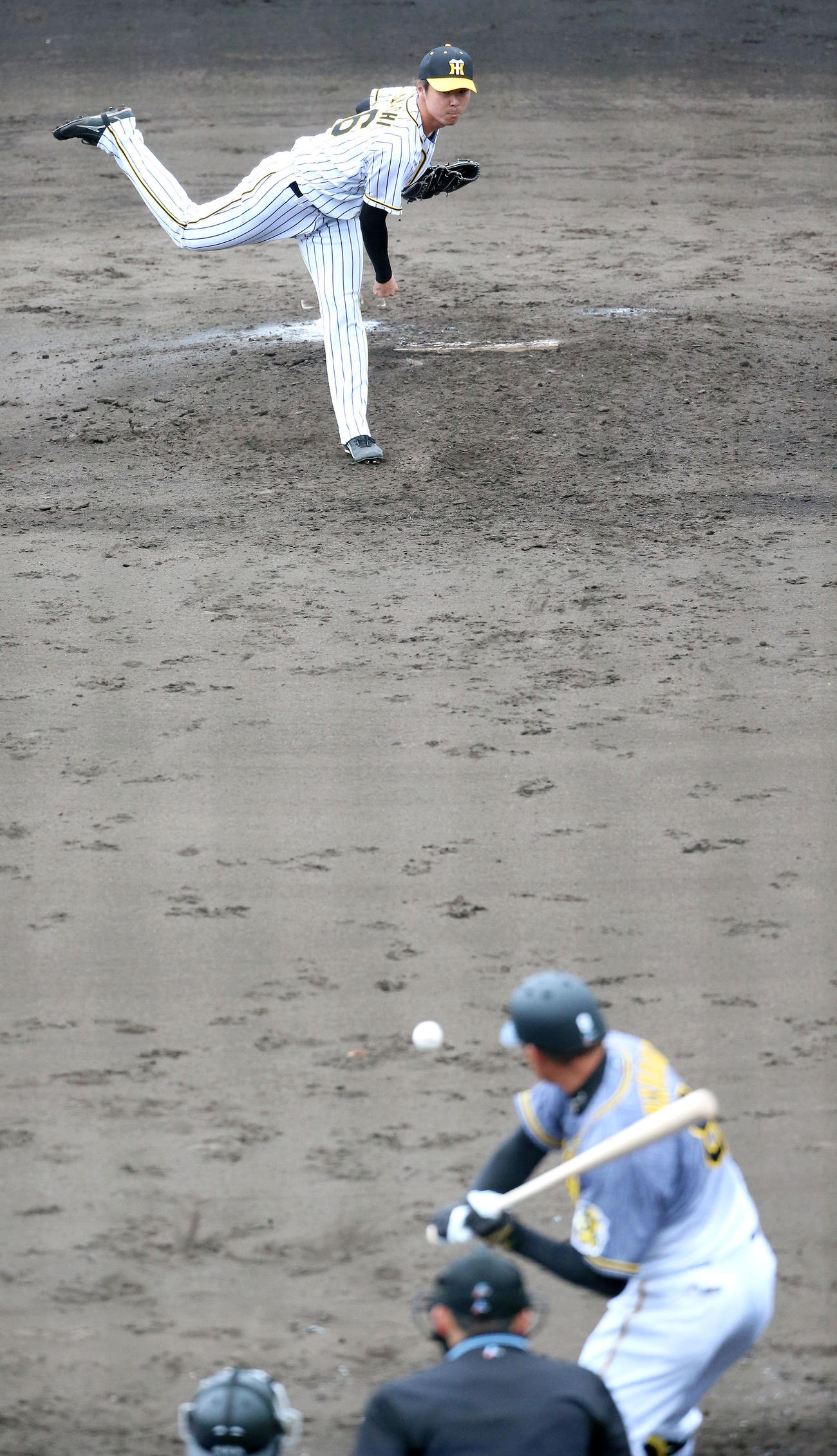 紅白戦　5回表紅組無死、浜地は福留を三振に仕留める（撮影・上山淳一）