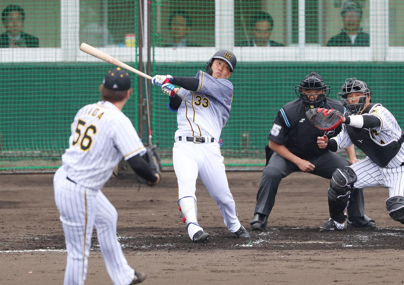 紅白戦　2回表紅組2死一、三塁、左翼線へ2点適時二塁打を放つ糸原。投手は飯田（撮影・前田充）