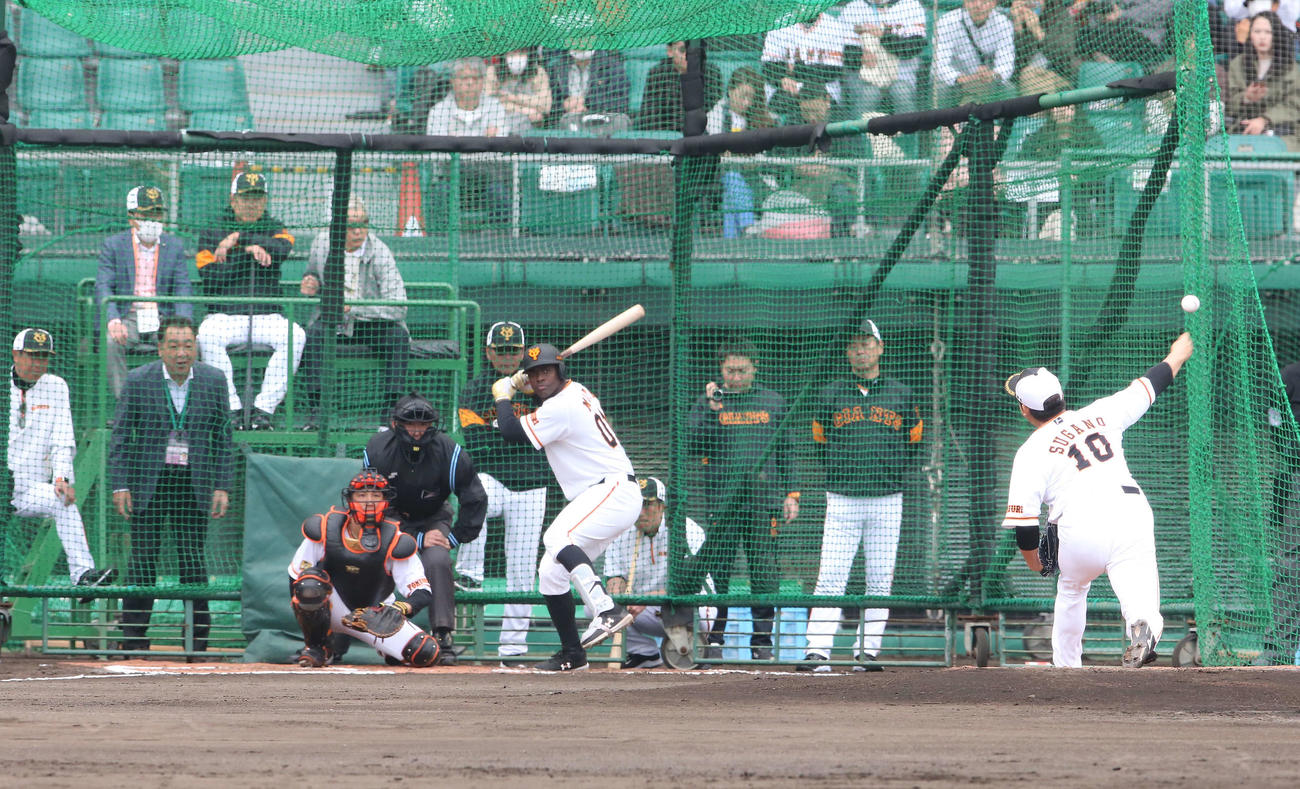 フリー打撃で巨人モタに対して投げ込む菅野。最後列左から2人目は原監督（撮影・河野匠）