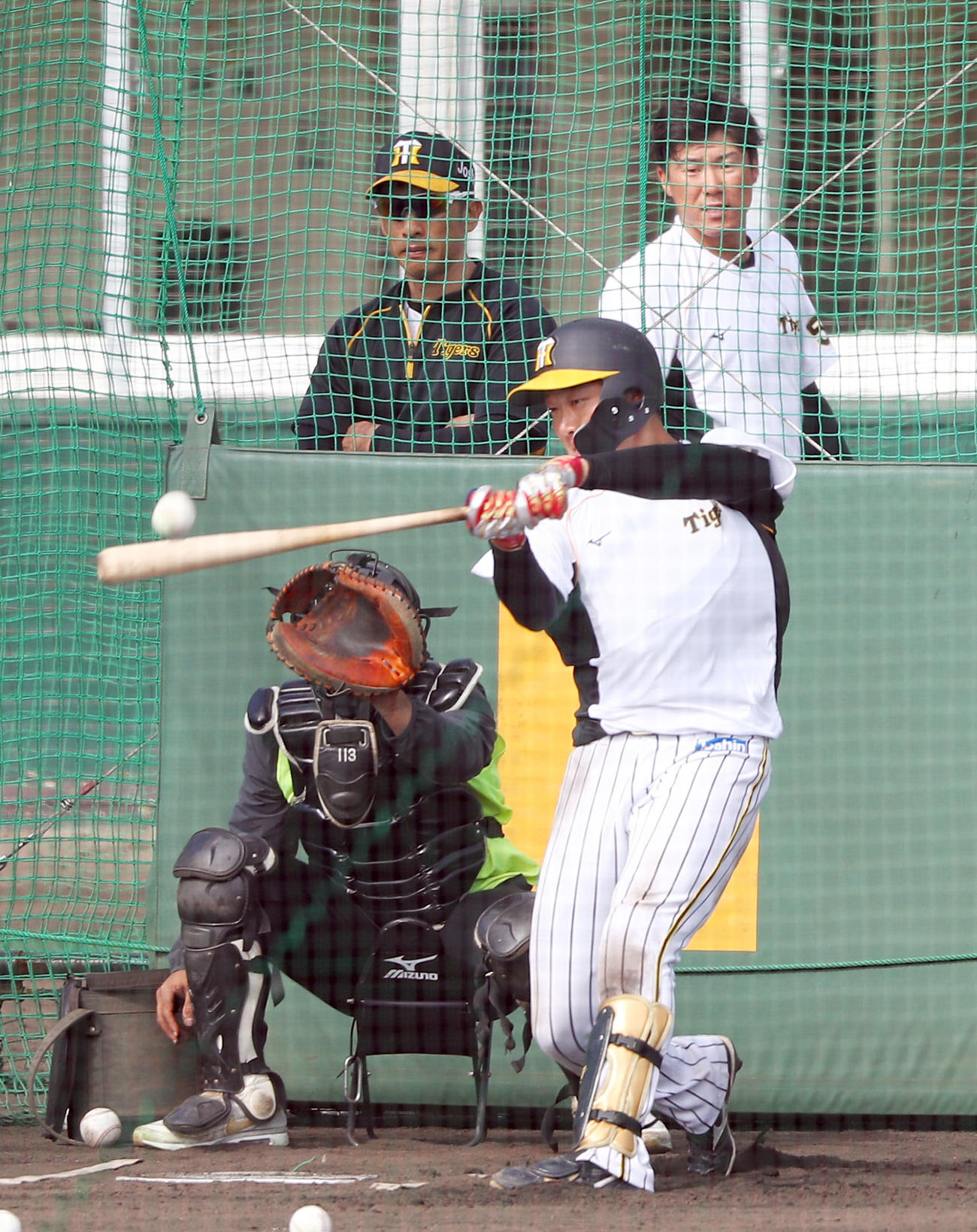 矢野監督（後方左）が見守る中、フリー打撃を行う大山（撮影・前田充）