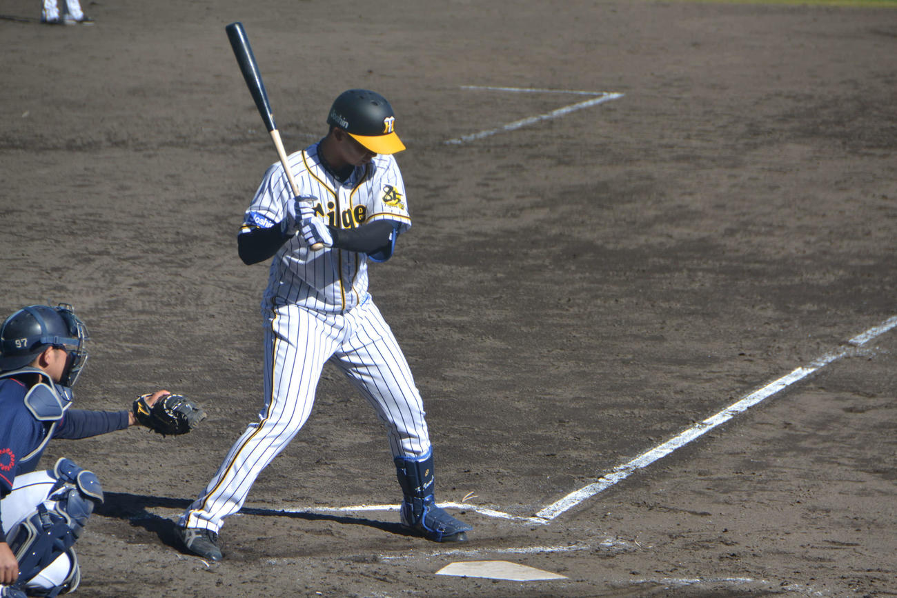 8回俊介の代打で出場し見逃し三振に倒れた阪神井上
