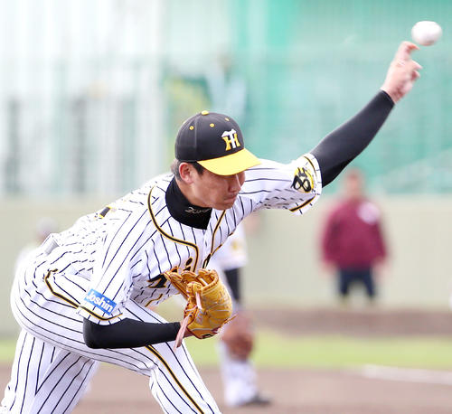 練習試合・阪神対楽天　7回表、岩崎が登板する（撮影・上山淳一）