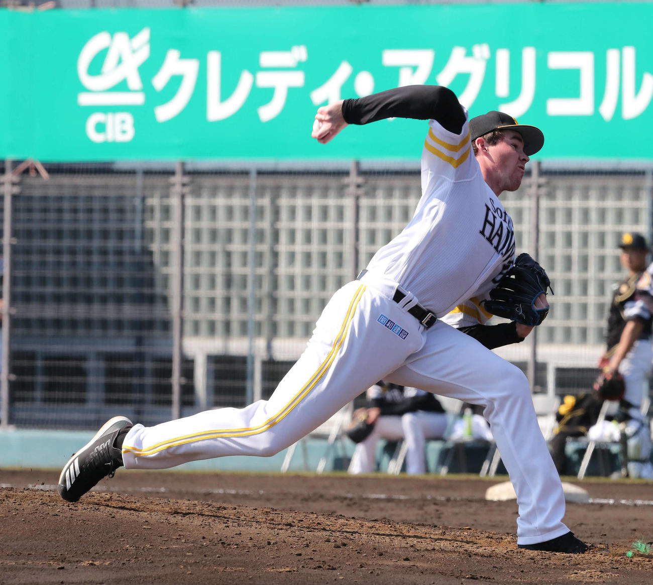 紅白戦に登板し好投するスチュワート（撮影・梅根麻紀）