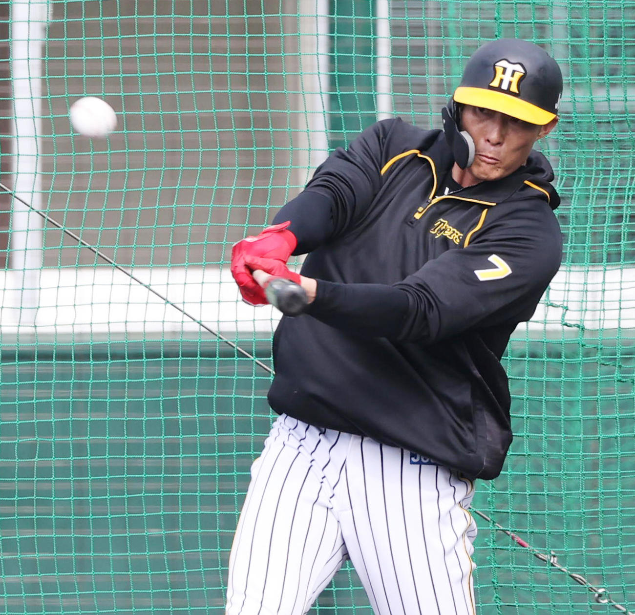 居残り、フリー打撃を行う糸井（撮影・清水貴仁）