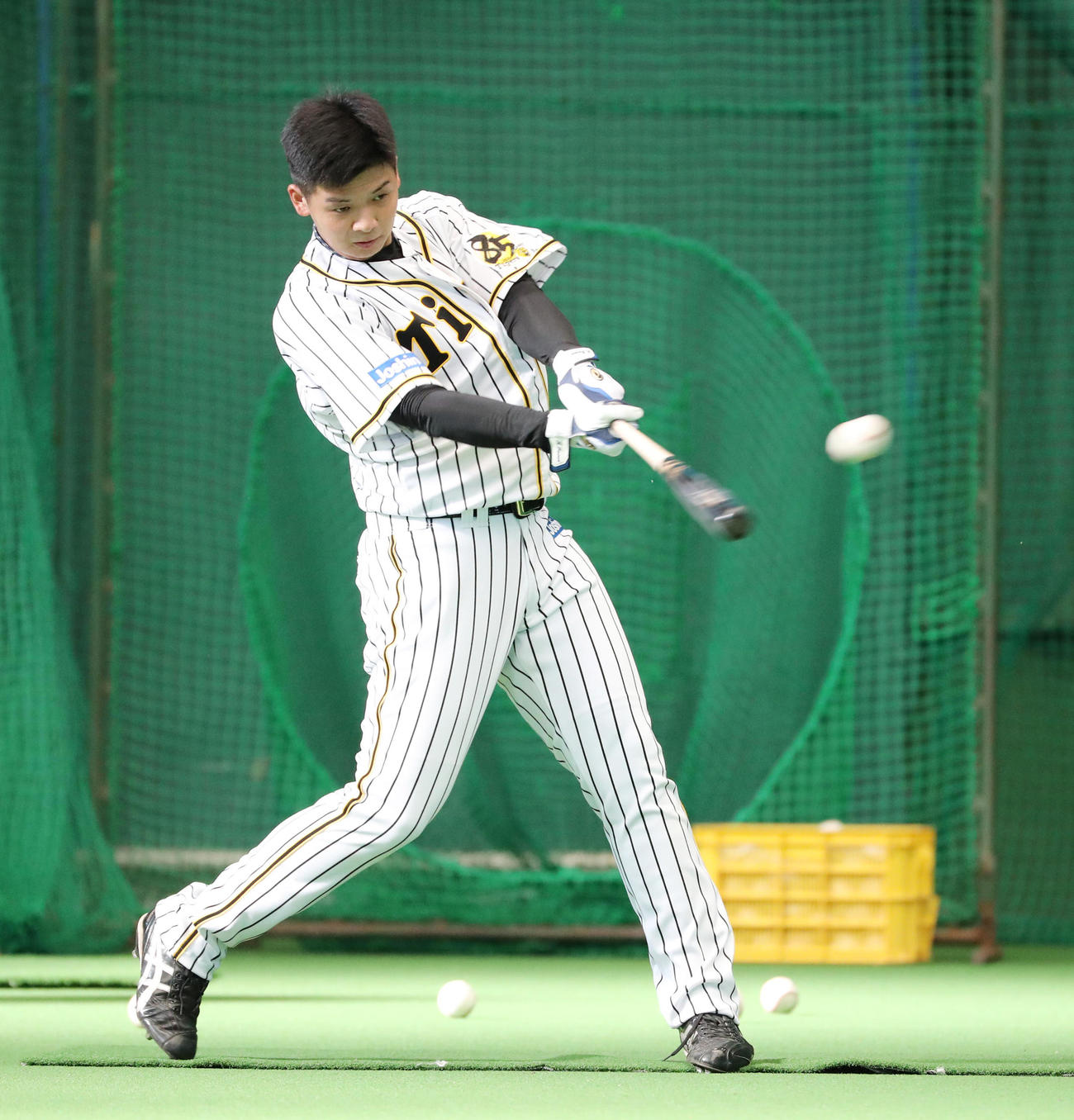 阪神ドラフト2位の井上広大（2020年2月2日撮影）