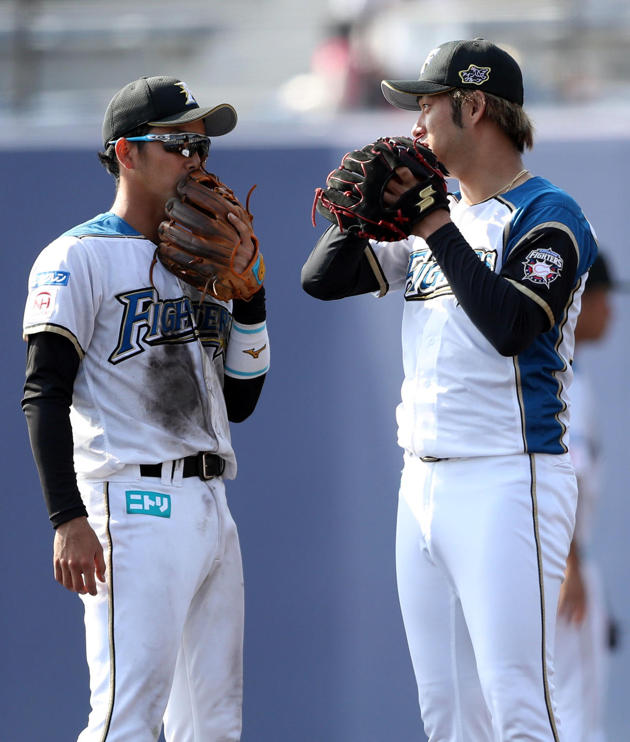 日本ハム対ヤクルト　7回表、秋吉（右）に話しかける谷内（撮影・狩俣裕三）
