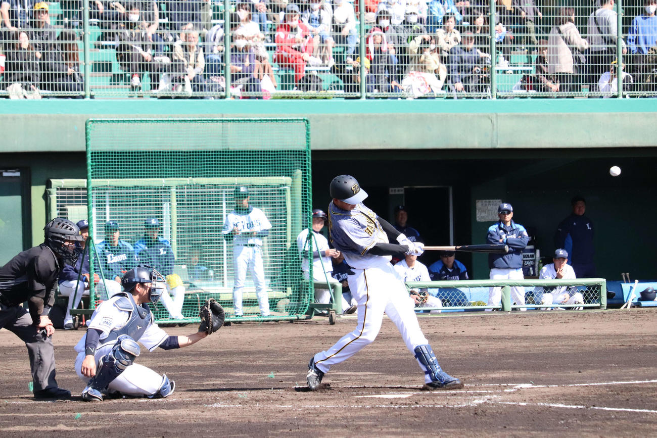 阪神2軍対西武2軍　2回表無死走者なしで阪神ドラフト2位井上は左越え本塁打を放つ（撮影・只松憲）