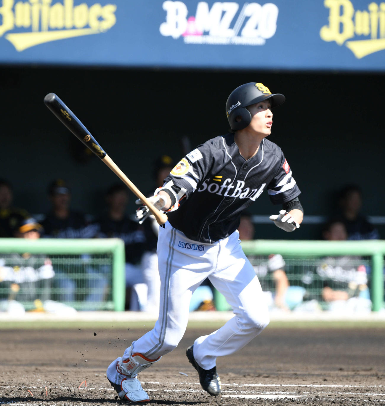 オリックス対ソフトバンク　3回表ソフトバンク無死一、二塁、周東は右越えに3点本塁打を放つ（撮影・渦原淳）