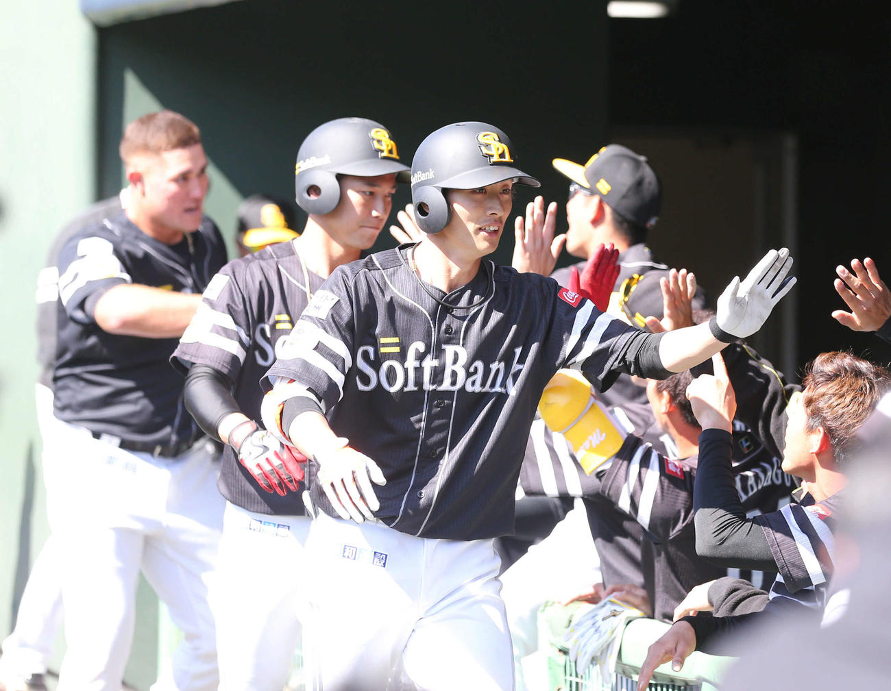 オリックス対ソフトバンク　3回表ソフトバンク無死一、二塁、周東は右越えに3点本塁打を放ちベンチのナインとハイタッチ（撮影・梅根麻紀）