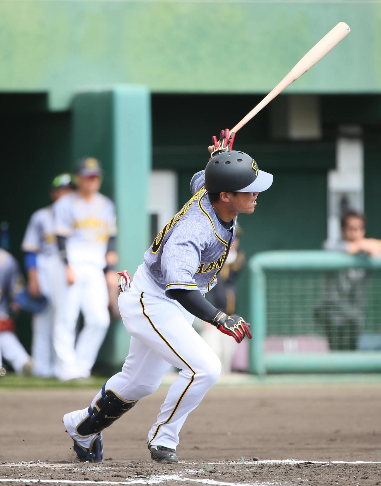 広島対阪神　オープン戦　3回表阪神無死一、三塁、陽川の三ゴロの間に先制する（撮影・栗木一考）