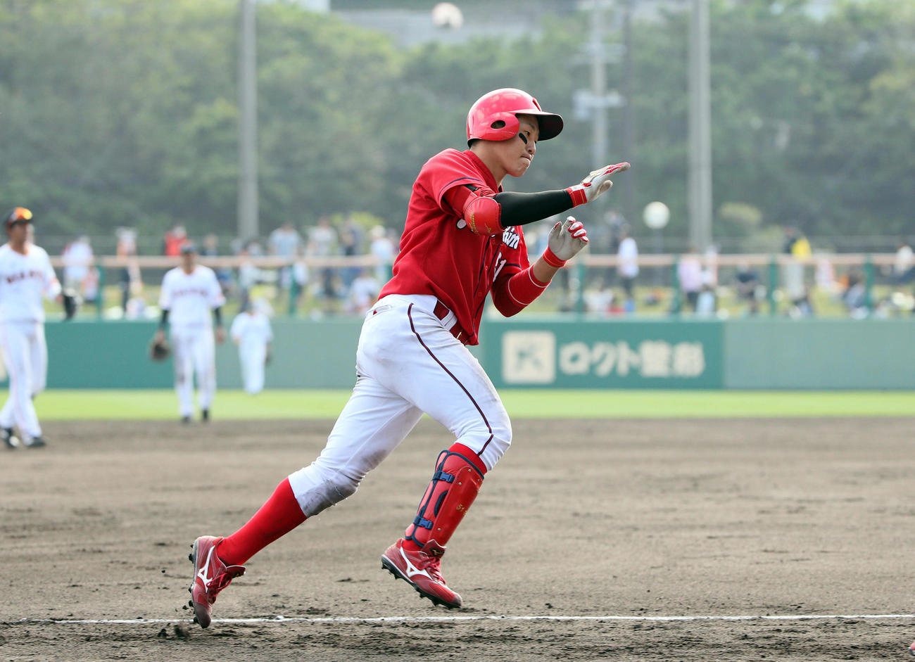 巨人対広島　7回表広島無死、小園海斗は右越えにソロ本塁打を放つ（撮影・栗木一考）