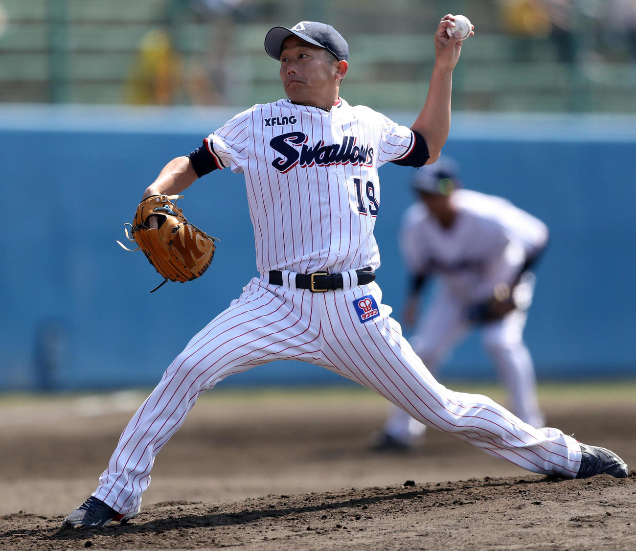 ヤクルト先発の石川（撮影・狩俣裕三）