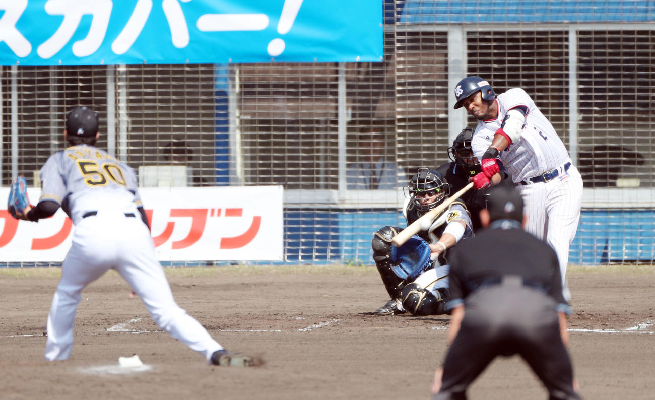 ヤクルト対阪神　2回裏ヤクルト無死一塁、左前打を放つエスコバー。投手青柳（撮影・前田充）