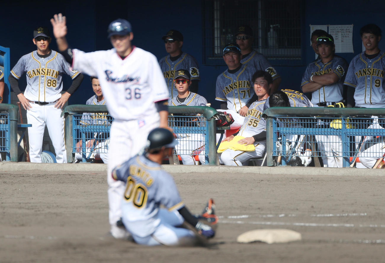ヤクルト対阪神　9回表阪神2死一塁、矢野監督（左）らは同点適時三塁打を放ち滑り込む上本（手前）を見つめる（撮影・前田充）