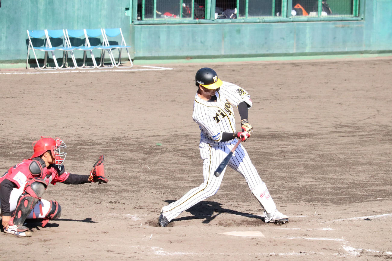 阪神2軍対高知FD　8回裏1死、阪神中谷は2戦連発となる左越え本塁打を放つ（撮影・只松憲）