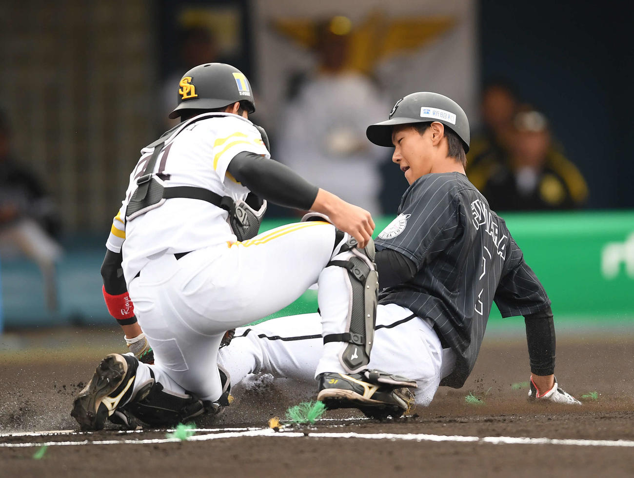 ソフトバンク対ロッテ　1回表ロッテ無死三塁、中村の三ゴロで本塁へ滑り込むもアウトになる藤原。捕手栗原（撮影・鈴木みどり）