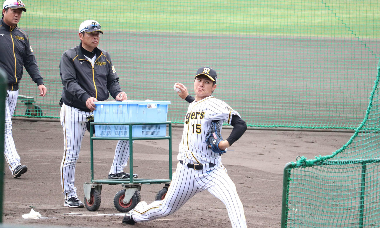 阪神ドラフト1位の西純矢はプロ入り後初の打撃投手を務める（撮影・只松憲）