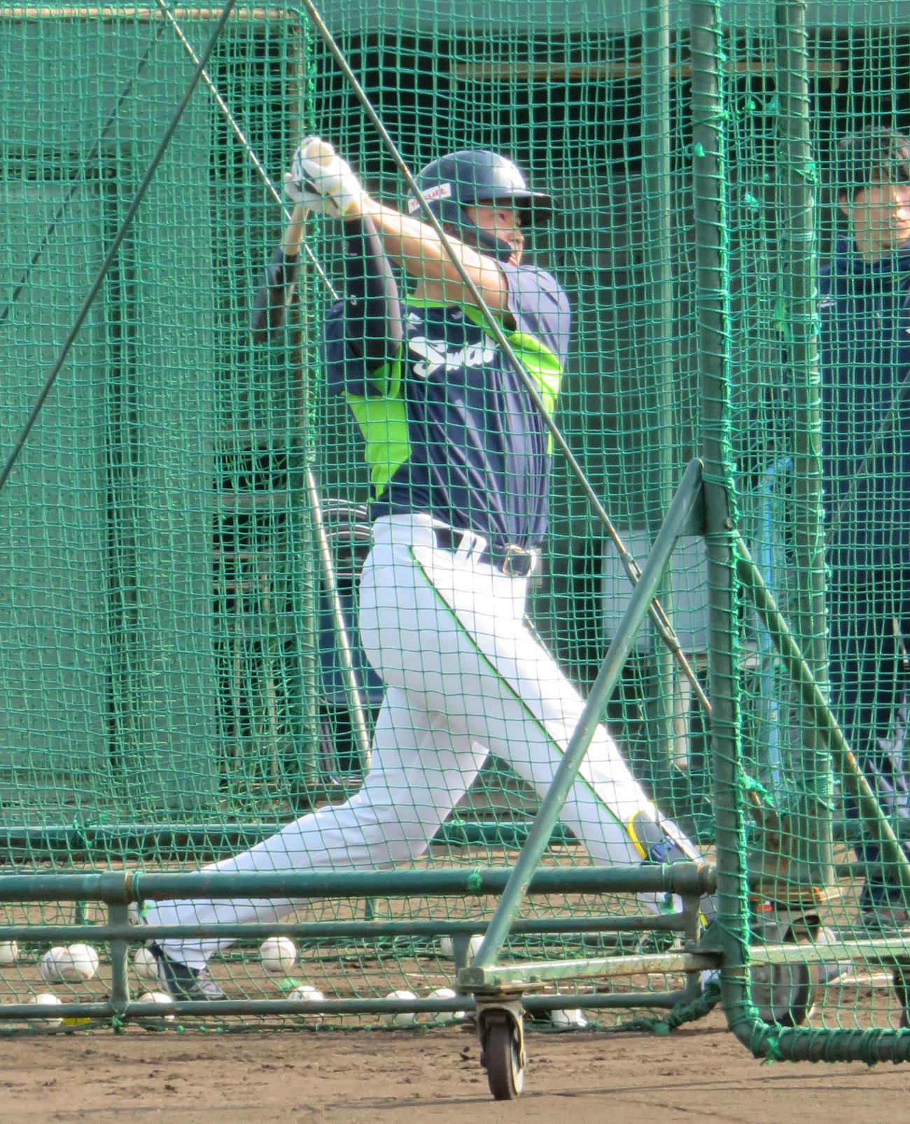 打撃練習を再開したヤクルト村上