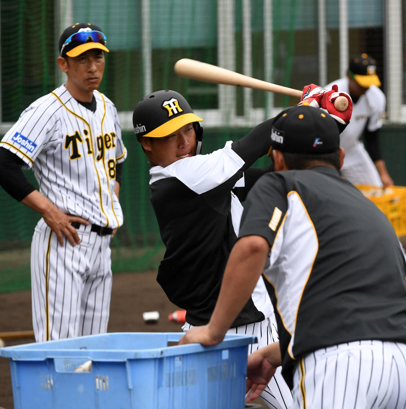 矢野監督が見守る中、ロングティーを行う大山（撮影・前岡正明）