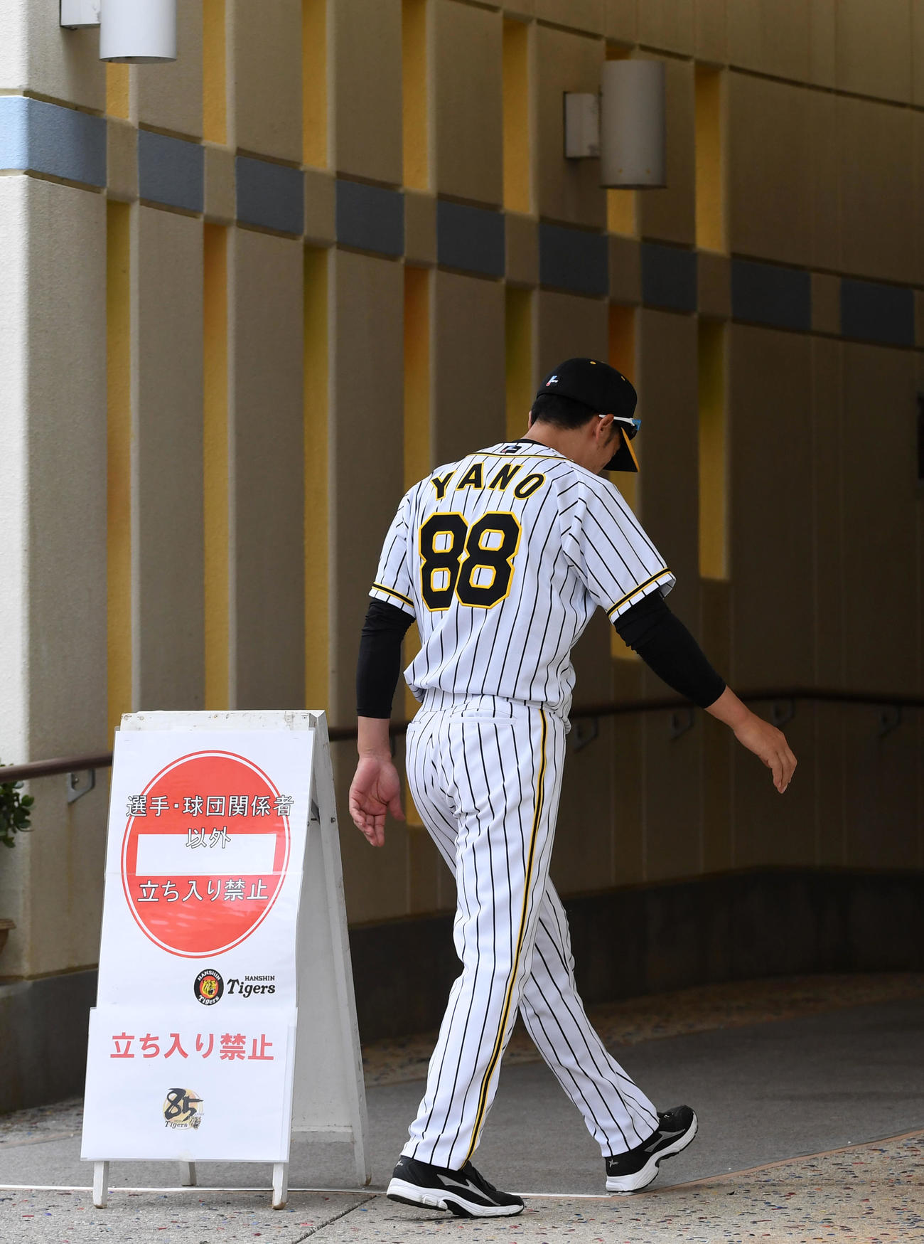 非公開練習の行われる室内練習場に入る矢野監督（撮影・前岡正明）
