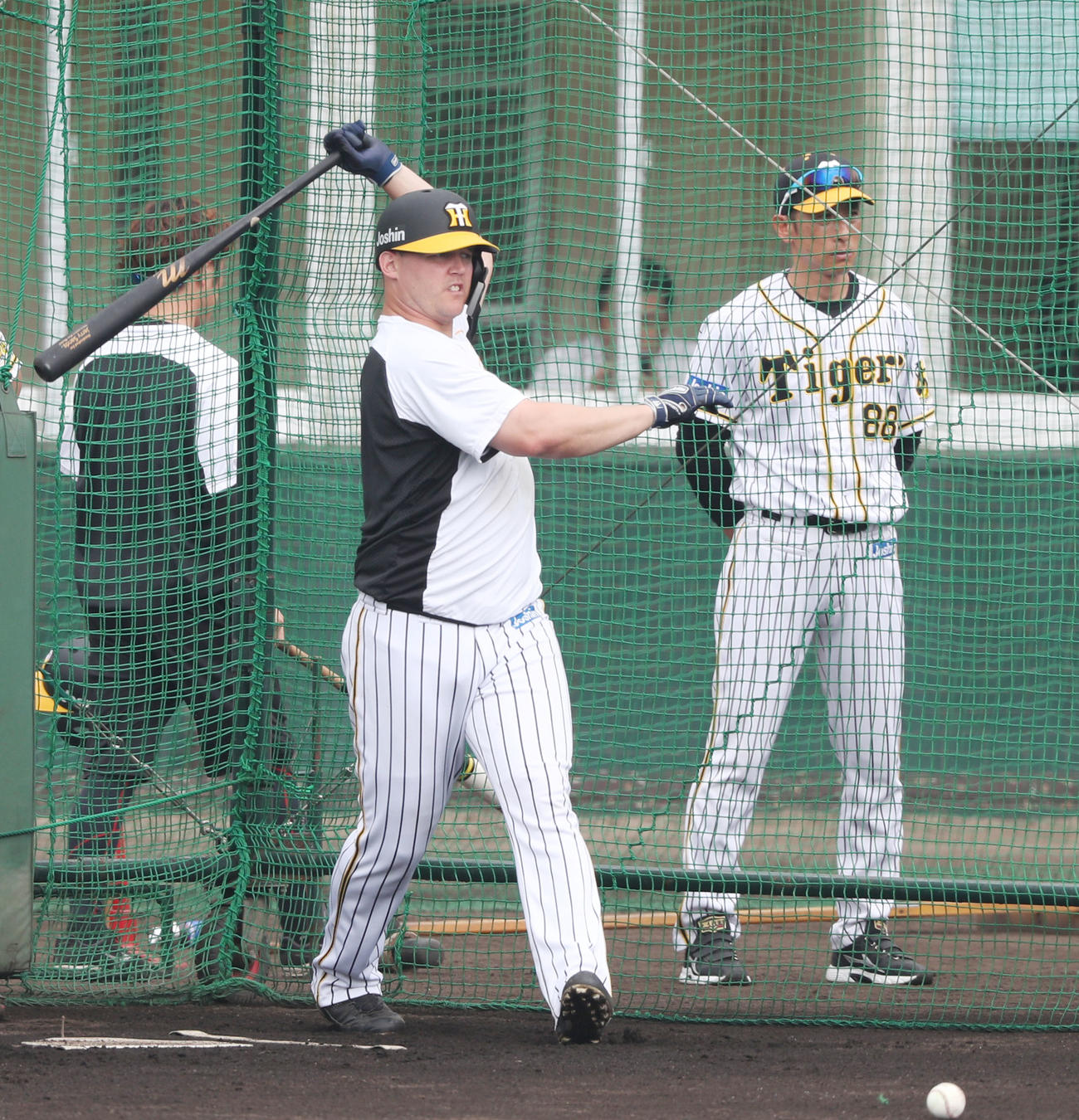 矢野監督（右）が見つめる前でフリー打撃を行うサンズ（撮影・前田充）