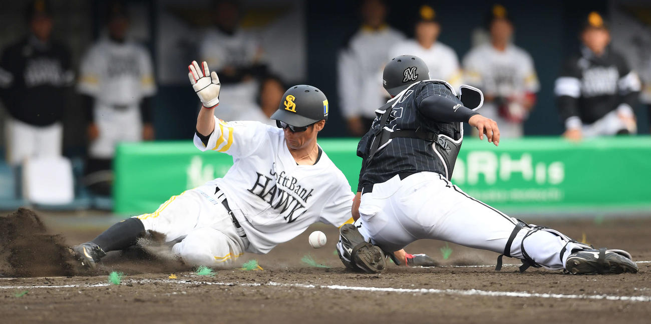ソフトバンク対ロッテ　8回裏ソフトバンク無死二、三塁、九鬼の中犠飛で生還する三塁走者明石。捕手佐藤（撮影・鈴木みどり）