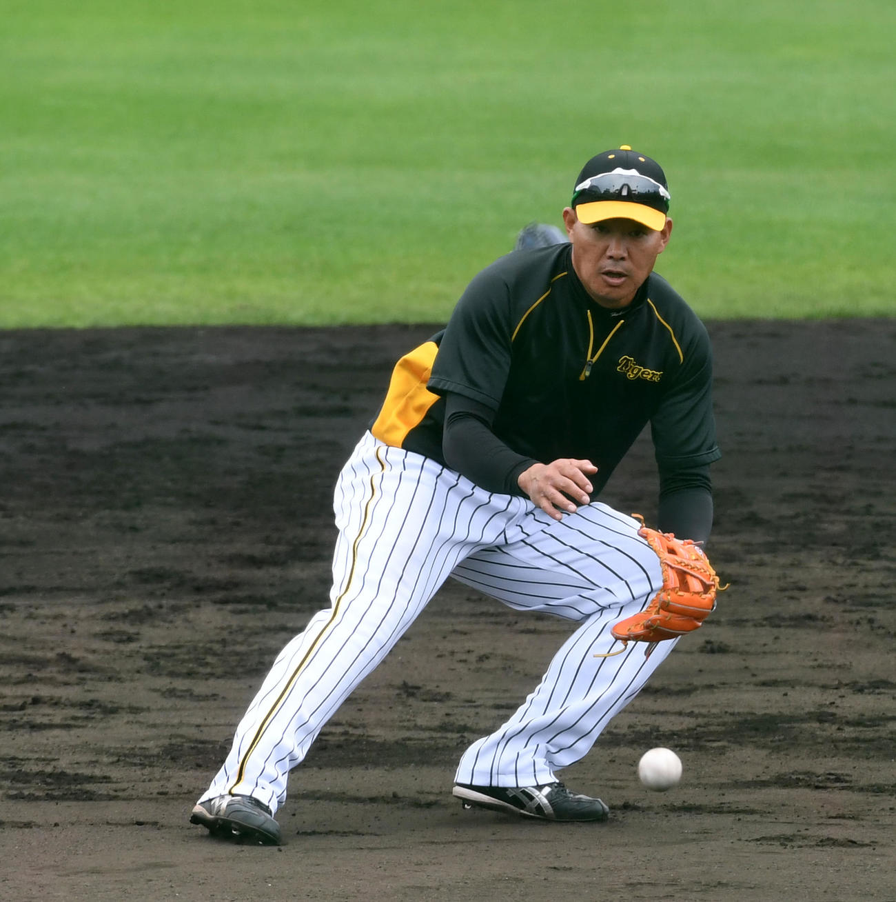 内野ノックを受ける福留（撮影・前岡正明）
