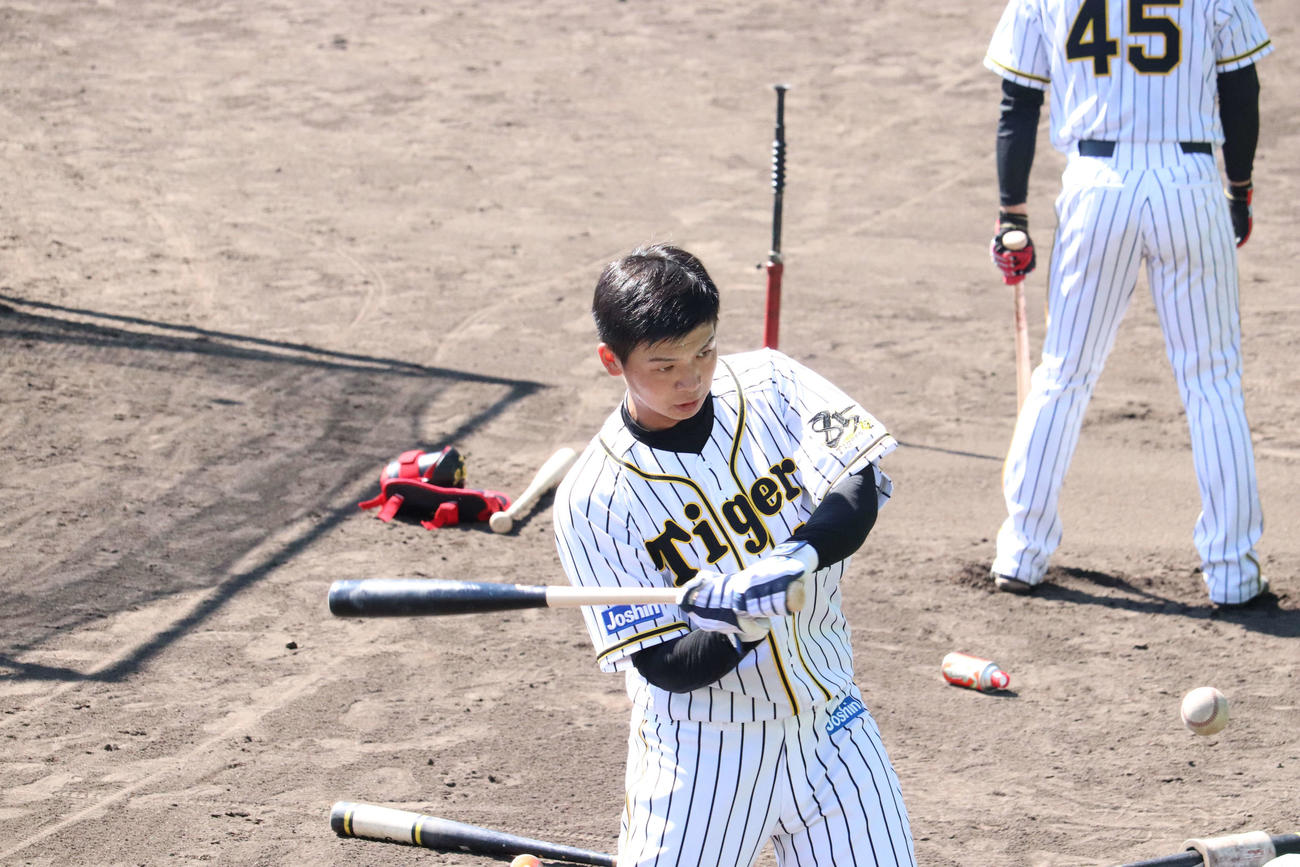 ティー打撃を行う井上（撮影・只松憲）