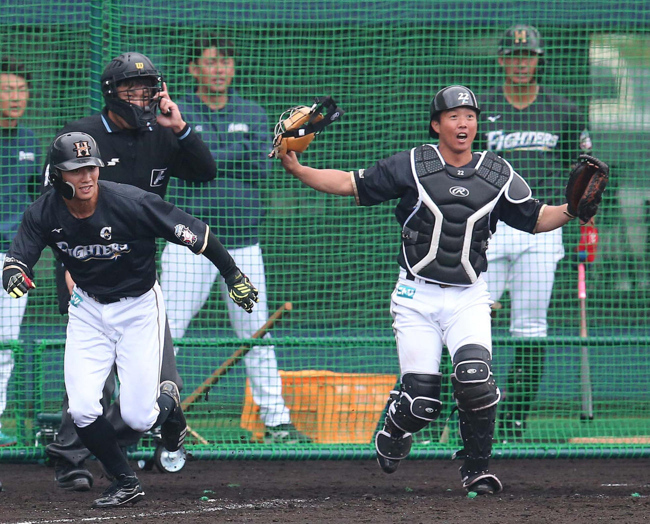 春季キャンプ中、連係プレーの練習で声を出す日本ハム鶴岡（右）