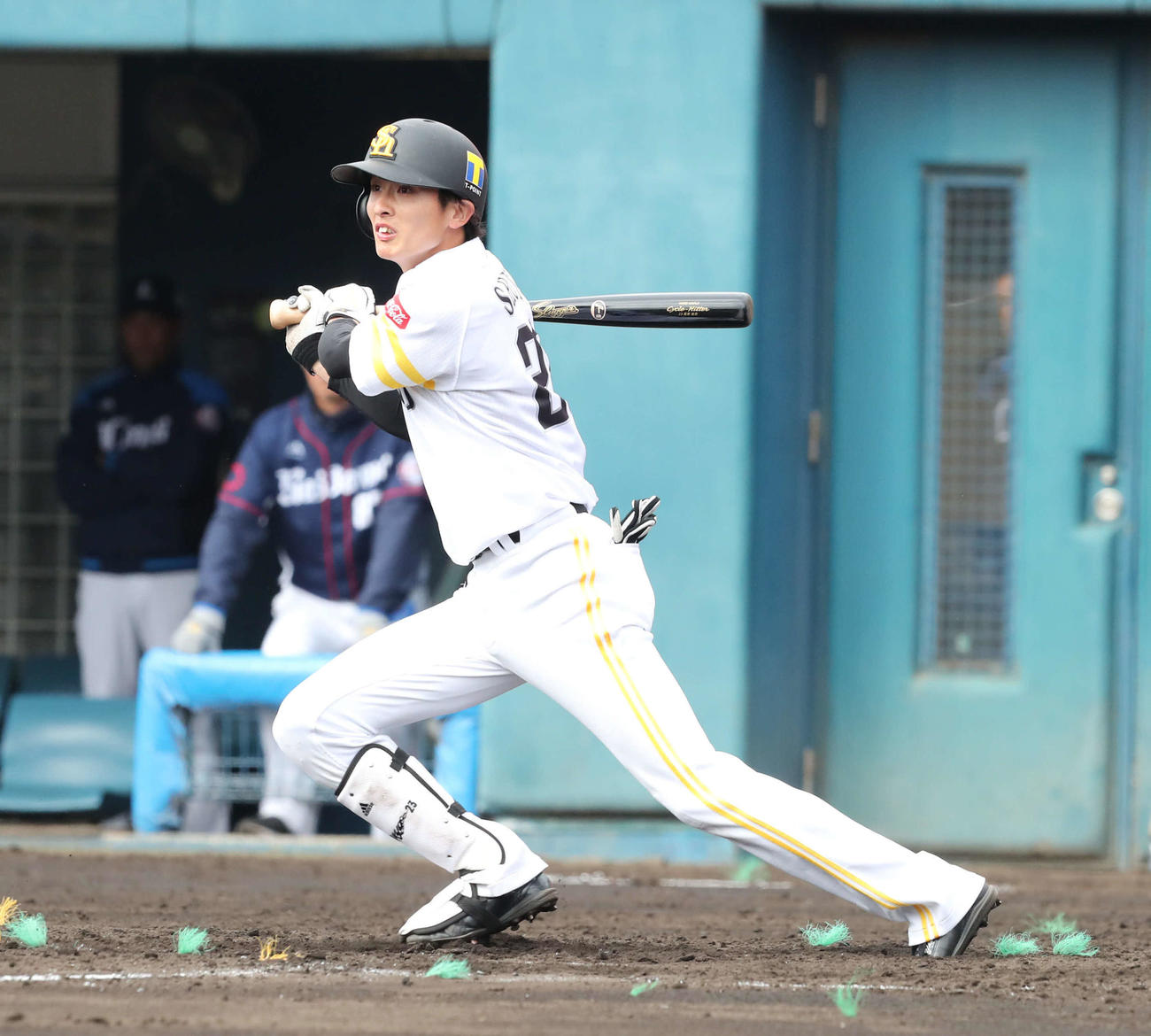 ソフトバンク対西武　3回裏ソフトバンク2死満塁、周東は左前に2点適時打を放つ（撮影・梅根麻紀）