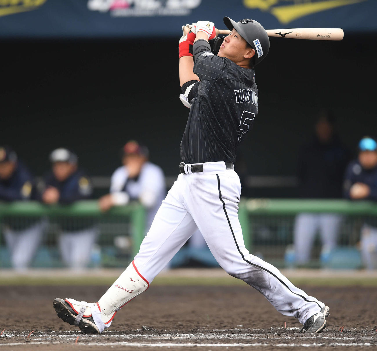 オリックス対ロッテ　8回表ロッテ無死満塁、左前適時打を放つ安田（撮影・鈴木みどり）