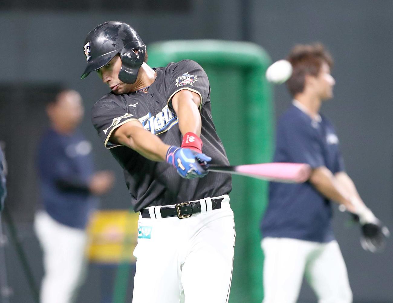 ロングティーする日本ハム大田（撮影・黒川智章）
