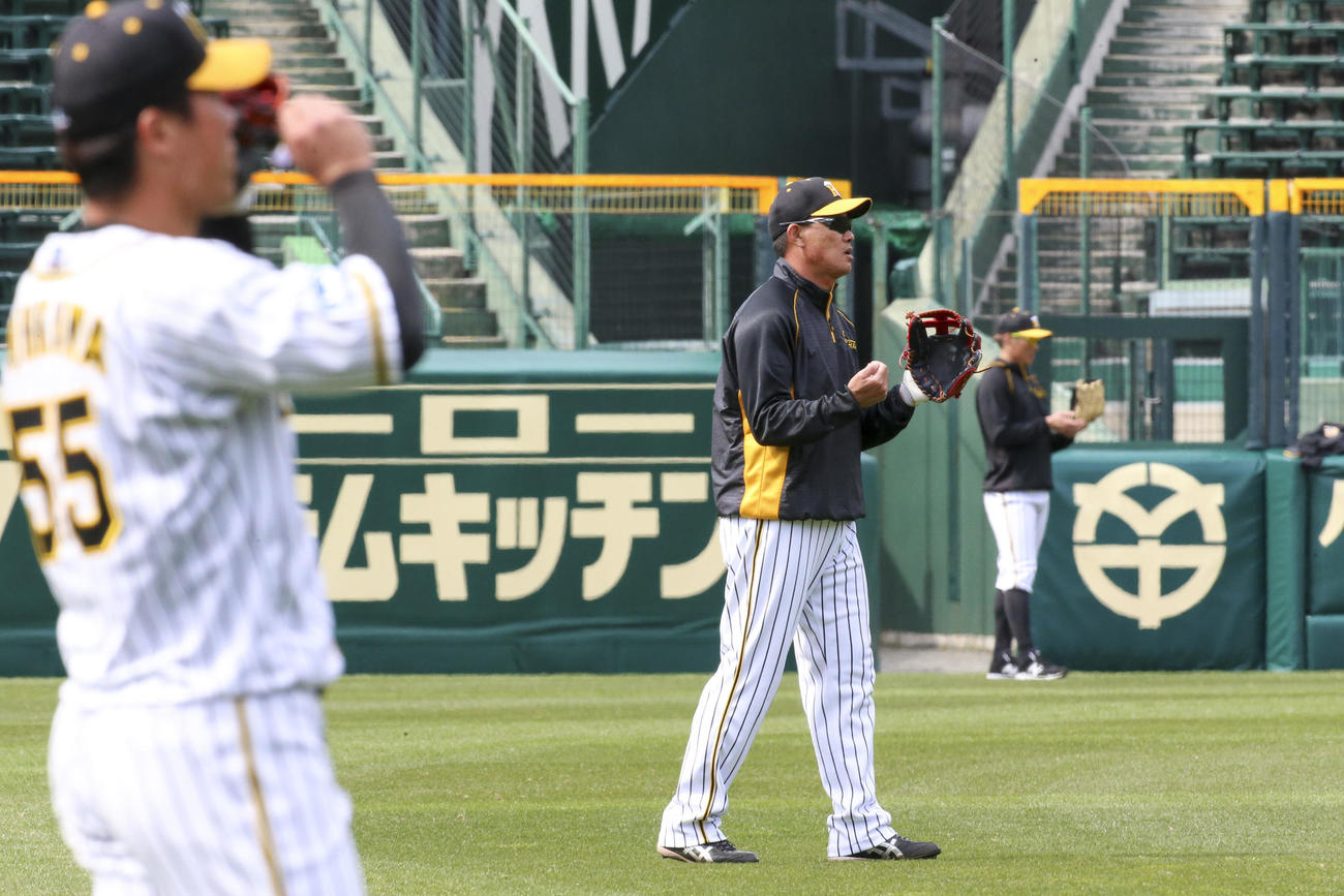 外野の守備に打球を捕球し送球する福留（撮影・上山淳一）