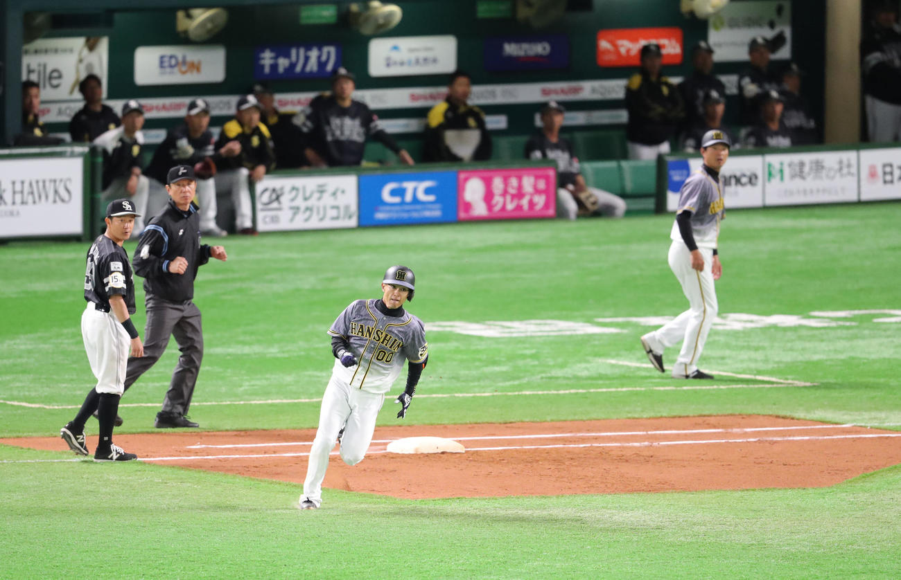 ソフトバンク対阪神　7回表阪神2死、上本は左越え本塁打を放つ（撮影・梅根麻紀）