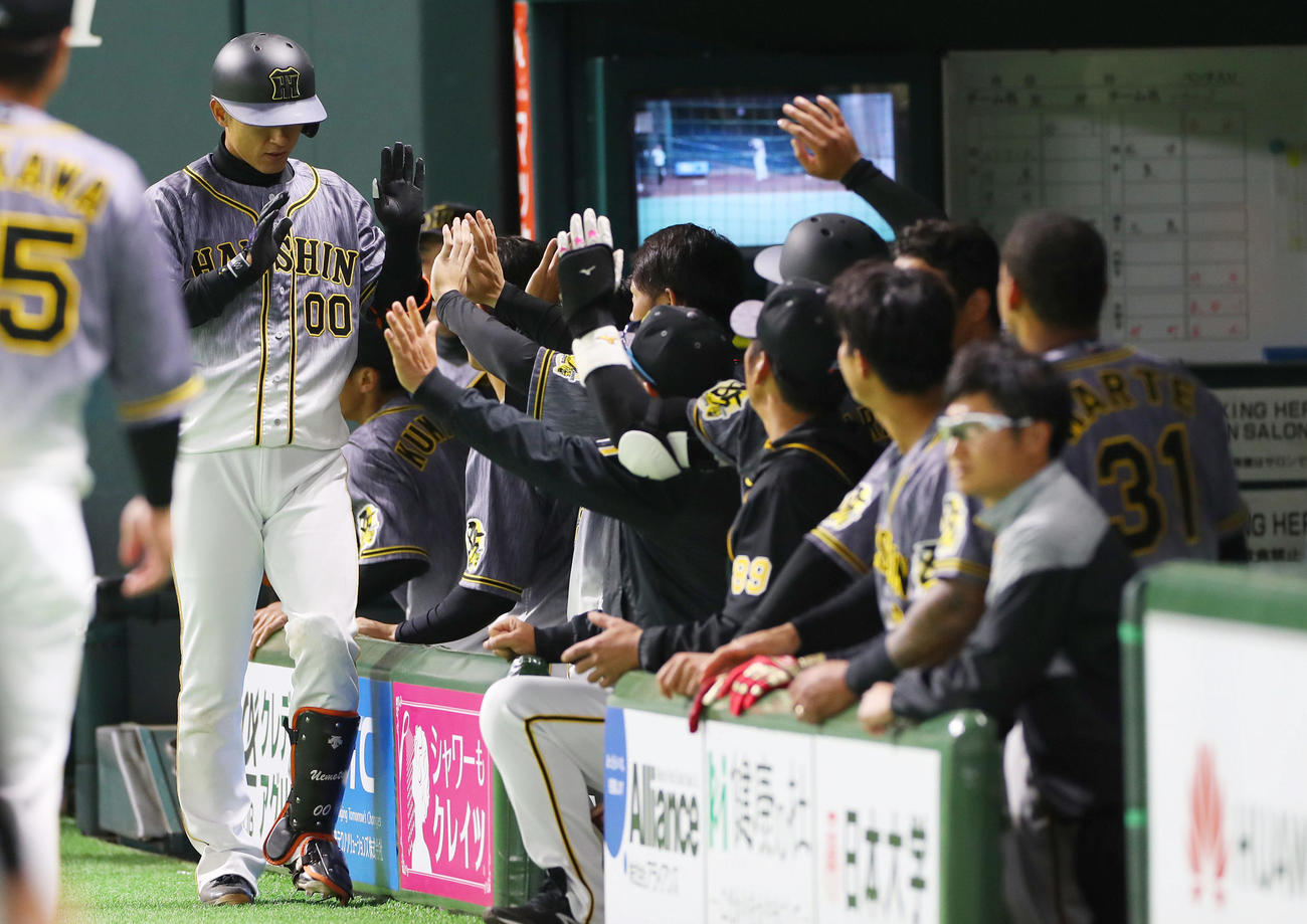 ソフトバンク対阪神　7回表阪神2死、上本は左中間へ本塁打を放ち、ナインに迎えられる（撮影・前田充）