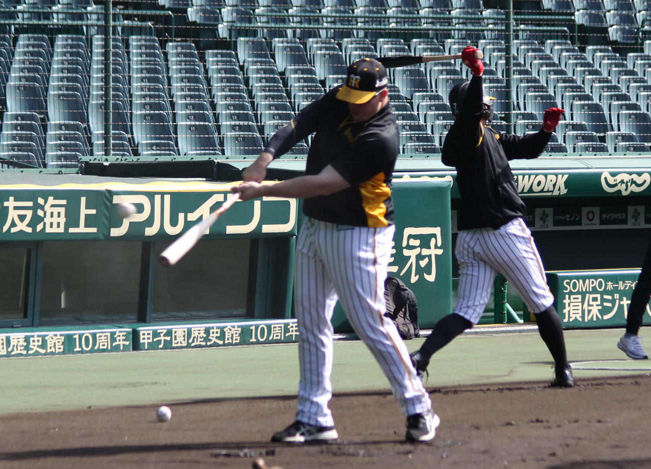 感覚を確かめながらティー打撃を行う阪神ボーア（撮影・酒井俊作）