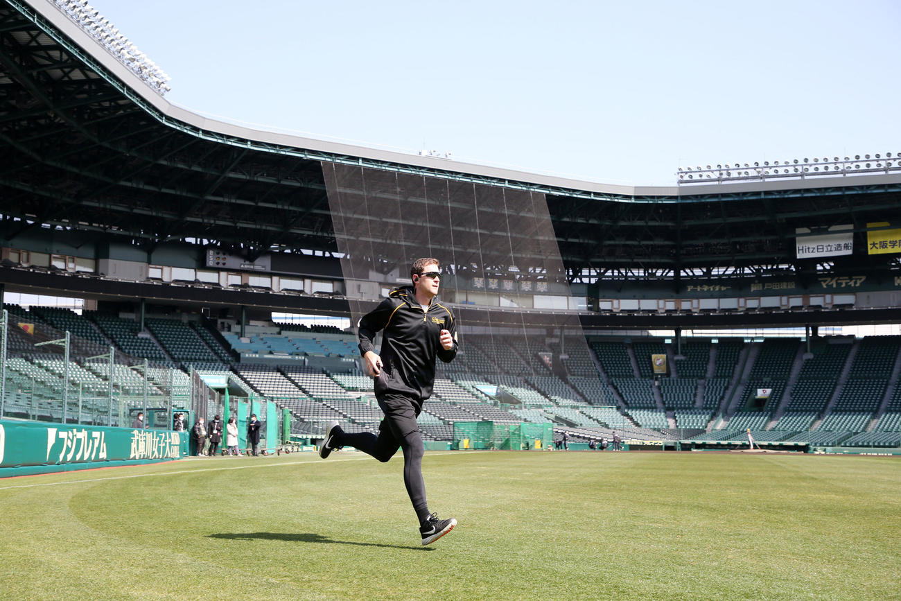 休日を返上し甲子園の外野をランニングするガンケル（撮影・加藤哉）