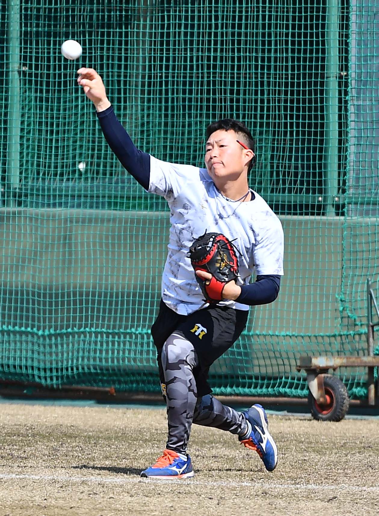 キャッチボールをして汗を流す阪神藤田健斗（撮影・上田博志）