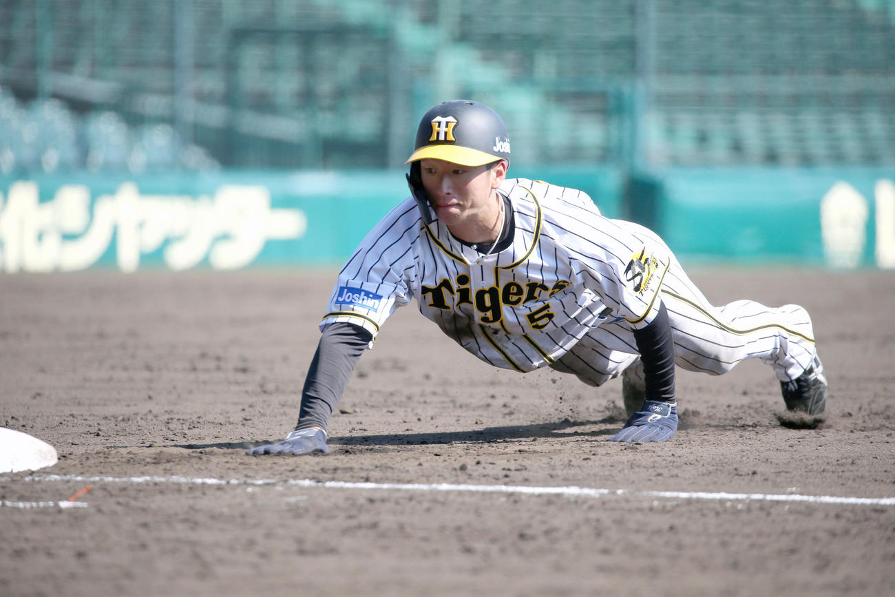 けん制帰塁練習で右手をさげ左手で一塁帰塁する近本（撮影・上山淳一）