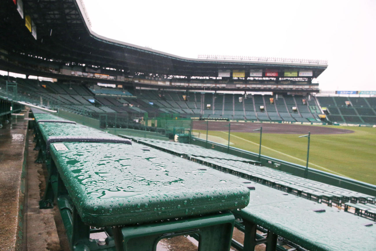 阪神対広島　雨でオープン戦の中止が発表された甲子園球場（撮影・上山淳一）
