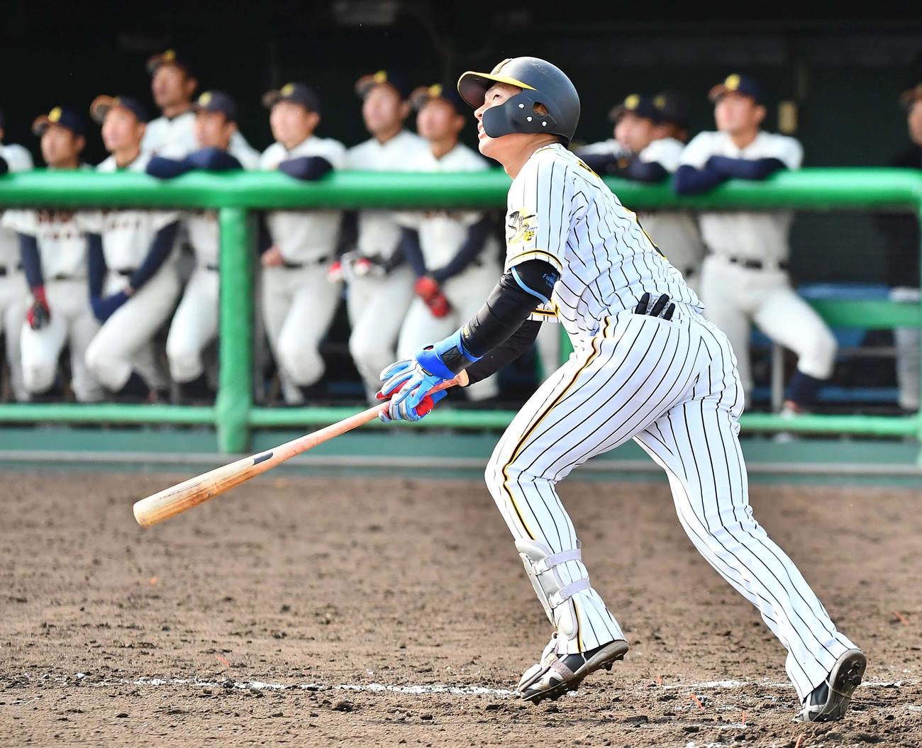 7回裏阪神2死一、二塁、左中間越えへ勝ち越し3点本塁打を放つ北條史也（撮影・上田博志）